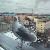 https://cdn-ostrovok-ru-ion.test.edgekey.net/t/100x100/hotel_review/9e/d1/9ed109b7769df64f101029979c1e33c2ecdb784b.JPEG