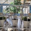 https://cdn-ostrovok-ru-ion.test.edgekey.net/t/100x100/hotel_review/9f/31/9f31f48d1eec61dd4fe3e1eb9f5f980783e92b42.JPEG