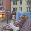 https://cdn-ostrovok-ru-ion.test.edgekey.net/t/100x100/hotel_review/9f/3c/9f3ccc63295104e16a9b5490cdcd346391737a1f.JPEG