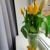 https://cdn-ostrovok-ru-ion.test.edgekey.net/t/100x100/hotel_review/9f/5c/9f5c22f661e93332fe2ff82342f37967ee7be6b0.jpeg