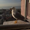 https://cdn-ostrovok-ru-ion.test.edgekey.net/t/100x100/hotel_review/9f/71/9f71d4f5be08c5fb9f6b9d1bcd94cbb6c978e0b9.JPEG