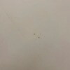 https://cdn-ostrovok-ru-ion.test.edgekey.net/t/100x100/hotel_review/9f/72/9f72045397f4e096b72a4af17f49bbcb9d75cdcd.jpeg