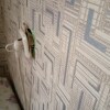 https://cdn-ostrovok-ru-ion.test.edgekey.net/t/100x100/hotel_review/9f/b4/9fb4db3e7b3df91d04be2fd12ec2d3cc611b234d.JPEG