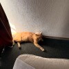 https://cdn-ostrovok-ru-ion.test.edgekey.net/t/100x100/hotel_review/9f/bf/9fbf6d40e92f0bbe5ec52270913c170b19484d83.JPEG