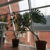 https://cdn-ostrovok-ru-ion.test.edgekey.net/t/100x100/hotel_review/9f/dc/9fdcbdd8c489da18101f6fe9d4ad061af809637b.JPEG