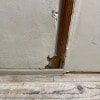 https://cdn-ostrovok-ru-ion.test.edgekey.net/t/100x100/hotel_review/9f/f5/9ff5edb501ea2f9e394c582f6fa79febcbf2e2a7.JPEG