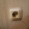 https://cdn-ostrovok-ru-ion.test.edgekey.net/t/100x100/hotel_review/a0/42/a0426c729be116065c65b0b7236a1fa76ea2a0df.JPEG
