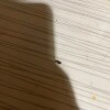 https://cdn-ostrovok-ru-ion.test.edgekey.net/t/100x100/hotel_review/a0/77/a077e266b96c05a279d81110a45328bda6ada2a6.jpeg