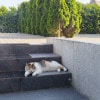 https://cdn-ostrovok-ru-ion.test.edgekey.net/t/100x100/hotel_review/a0/83/a0837a92caf6164f52cad2fcd308470175bafdb9.JPEG
