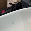 https://cdn-ostrovok-ru-ion.test.edgekey.net/t/100x100/hotel_review/a0/9b/a09b3d2a41576341208a0c72c74fac0e0c75b1ca.JPEG