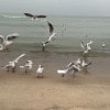 https://cdn-ostrovok-ru-ion.test.edgekey.net/t/100x100/hotel_review/a0/b0/a0b0c6901d8dd6b676c660e427371e2ba3e5a148.JPEG