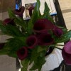 https://cdn-ostrovok-ru-ion.test.edgekey.net/t/100x100/hotel_review/a1/09/a10946fc1a6fe299fd413dd769ab9a7239a3afe9.JPEG