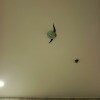 https://cdn-ostrovok-ru-ion.test.edgekey.net/t/100x100/hotel_review/a1/57/a157bf72dc5fe139971496852a2affc8eb3c2d90.JPEG
