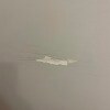 https://cdn-ostrovok-ru-ion.test.edgekey.net/t/100x100/hotel_review/a1/de/a1dead82e50a63b0917d4ec94d5713275da77815.JPEG