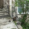 https://cdn-ostrovok-ru-ion.test.edgekey.net/t/100x100/hotel_review/a1/e3/a1e3bce6a1b69316c31a98fc3d9fbc4903435c11.JPEG