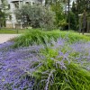 https://cdn-ostrovok-ru-ion.test.edgekey.net/t/100x100/hotel_review/a2/1f/a21f0d5497ff135a0a56f301c9c1e2168144e8cc.JPEG