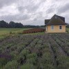 https://cdn-ostrovok-ru-ion.test.edgekey.net/t/100x100/hotel_review/a2/7c/a27c50ea0082a668abf1c16dbcc37ff2d7ee43e9.jpeg