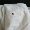 https://cdn-ostrovok-ru-ion.test.edgekey.net/t/100x100/hotel_review/a2/84/a284edaf85da17a1517bd77c1336fb16ab824781.jpeg
