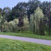 https://cdn-ostrovok-ru-ion.test.edgekey.net/t/100x100/hotel_review/a2/bc/a2bcf7ef1220a57d144d0695113771180bb0acd9.jpeg