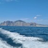 https://cdn-ostrovok-ru-ion.test.edgekey.net/t/100x100/hotel_review/a2/c4/a2c4237d96cdbe41896cc1e9e31405955d10006b.jpeg