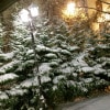 https://cdn-ostrovok-ru-ion.test.edgekey.net/t/100x100/hotel_review/a2/d1/a2d159e59de06330c7edd82039d11e5e69c93c2a.jpeg