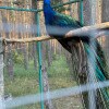 https://cdn-ostrovok-ru-ion.test.edgekey.net/t/100x100/hotel_review/a3/b1/a3b1aeca55b4188c9a5aa387671c0c472f1544ea.JPEG