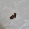 https://cdn-ostrovok-ru-ion.test.edgekey.net/t/100x100/hotel_review/a3/ba/a3ba445479bdb8f133cca2b055170cc1bc32699f.JPEG