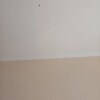 https://cdn-ostrovok-ru-ion.test.edgekey.net/t/100x100/hotel_review/a3/e2/a3e24de5ec8ba29e94de2c770cd07aece1ab8520.JPEG