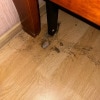 https://cdn-ostrovok-ru-ion.test.edgekey.net/t/100x100/hotel_review/a3/e9/a3e9515a4ef20a3c1f222ff79b0a030cd39cbc40.JPEG