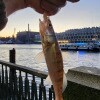 https://cdn-ostrovok-ru-ion.test.edgekey.net/t/100x100/hotel_review/a3/ff/a3ff21472289a2aef370ab98f20373fca363ad4a.JPEG