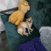 https://cdn-ostrovok-ru-ion.test.edgekey.net/t/100x100/hotel_review/a4/20/a42050dd8355c84e28347c014ba5823a6bfdca7d.JPEG