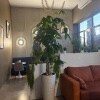 https://cdn-ostrovok-ru-ion.test.edgekey.net/t/100x100/hotel_review/a4/52/a452111ce75f7ccb68a6451e98a8787efe6946df.JPEG