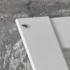 https://cdn-ostrovok-ru-ion.test.edgekey.net/t/100x100/hotel_review/a4/58/a458d423943580ec8fbc7f579c25fd3c696db811.JPEG