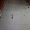 https://cdn-ostrovok-ru-ion.test.edgekey.net/t/100x100/hotel_review/a4/7b/a47b394c3077f2b93f85d34a93fa2db19ab3194a.JPEG