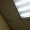 https://cdn-ostrovok-ru-ion.test.edgekey.net/t/100x100/hotel_review/a4/99/a49990cf400eb74194423958b4ef1690e86383f8.jpeg