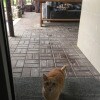 https://cdn-ostrovok-ru-ion.test.edgekey.net/t/100x100/hotel_review/a4/af/a4af68a3840d786fc00a16b3aad64f07846b606e.JPEG