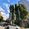 https://cdn-ostrovok-ru-ion.test.edgekey.net/t/100x100/hotel_review/a4/cc/a4cc609bc3d1ee5c5fca38b049e6bea1121e257b.JPEG