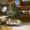 https://cdn-ostrovok-ru-ion.test.edgekey.net/t/100x100/hotel_review/a5/00/a5004b1ee09f0b1d5d01af67828cddeccefe1a61.JPEG