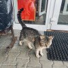 https://cdn-ostrovok-ru-ion.test.edgekey.net/t/100x100/hotel_review/a5/17/a51718b2e77717330a02429bfe53a4b3aba81b77.JPEG