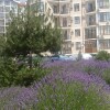 https://cdn-ostrovok-ru-ion.test.edgekey.net/t/100x100/hotel_review/a5/44/a544db587060681ed24fe74d68121bdd6c821867.JPEG