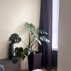 https://cdn-ostrovok-ru-ion.test.edgekey.net/t/100x100/hotel_review/a5/72/a572bab72765c1a1a68f1d9679b9bdf0118fc1cd.JPEG