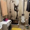 https://cdn-ostrovok-ru-ion.test.edgekey.net/t/100x100/hotel_review/a5/aa/a5aa0c7b689af9d0f200a8f72197c8d86b77a6f5.JPEG