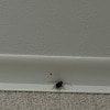 https://cdn-ostrovok-ru-ion.test.edgekey.net/t/100x100/hotel_review/a5/bc/a5bcb2d5746a6f1526e39c42c078d2584c70460c.JPEG