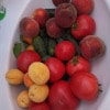 https://cdn-ostrovok-ru-ion.test.edgekey.net/t/100x100/hotel_review/a5/f2/a5f2fc238378158f6d8e5394197e415f90048269.jpeg
