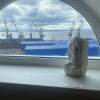 https://cdn-ostrovok-ru-ion.test.edgekey.net/t/100x100/hotel_review/a6/1a/a61a3eaf7a5d3aab1973f32a6ffef06dd9a438f7.JPEG