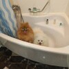 https://cdn-ostrovok-ru-ion.test.edgekey.net/t/100x100/hotel_review/a6/1e/a61e839e0a8ad8fe69b8d4576838fb78bd661a0c.JPEG
