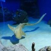 https://cdn-ostrovok-ru-ion.test.edgekey.net/t/100x100/hotel_review/a6/2a/a62a4d44be6d83bda93e74c72d9309576b4e4bcc.jpeg