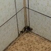 https://cdn-ostrovok-ru-ion.test.edgekey.net/t/100x100/hotel_review/a6/3a/a63a4c533b83bfbdec87f7a94dfdc34f72a6a927.JPEG