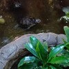 https://cdn-ostrovok-ru-ion.test.edgekey.net/t/100x100/hotel_review/a6/58/a658a859e84b4cb62c1b90e25509658907ba696f.jpeg