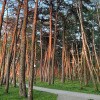 https://cdn-ostrovok-ru-ion.test.edgekey.net/t/100x100/hotel_review/a6/6b/a66b2f0798c5a5836f43d5ef5e208fd04932417e.JPEG